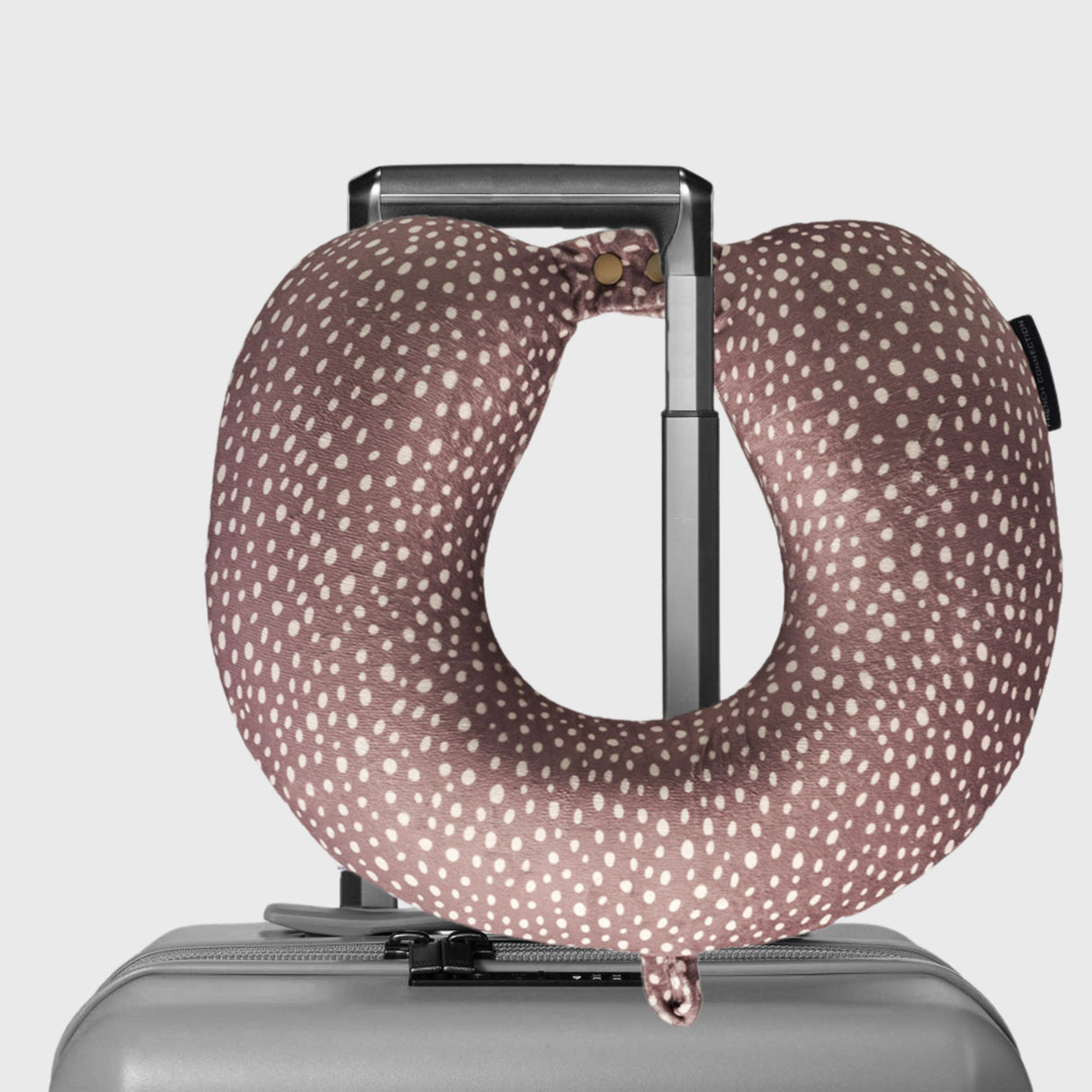 French Connection Memory Foam Travel Neck Pillow with Washable Cover - (Polka Dot) in Mocha