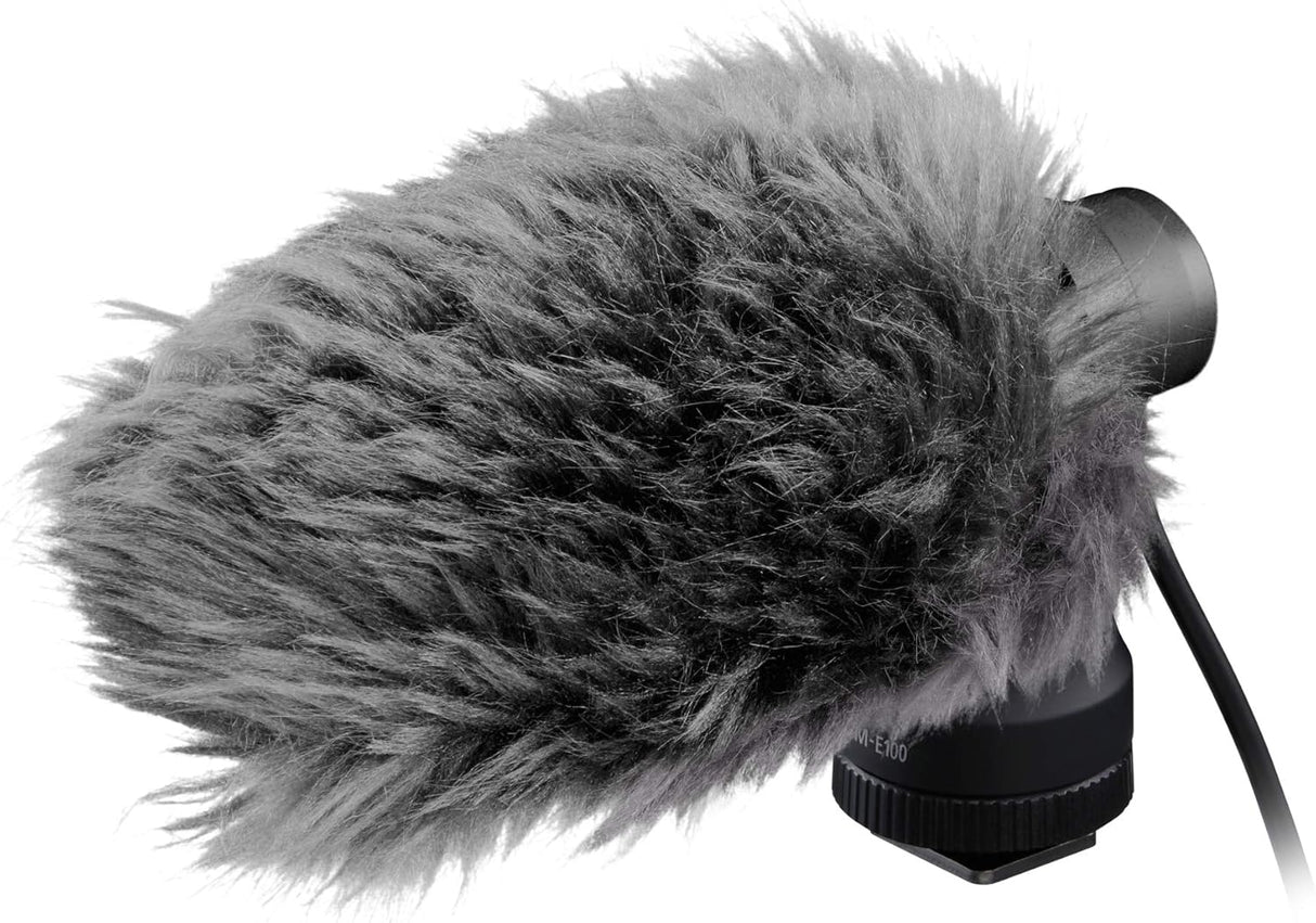 Canon DM-E100 Directional Microphone